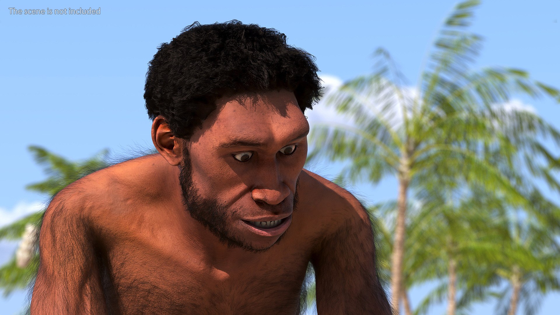 Homo Erectus Fur Rigged 3D Model - TurboSquid 2180778