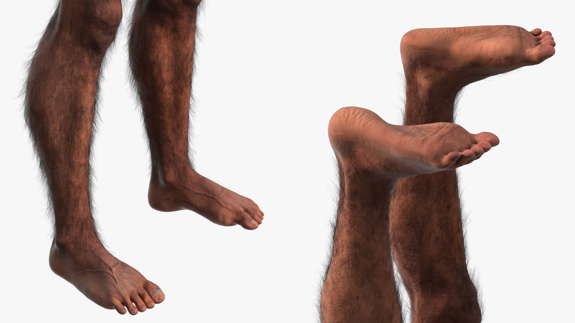 Homo Erectus Fur Rigged 3D model https://p.turbosquid.com/ts-thumb/Oy/ZWLXlr/Wj/homoerectusfurrigged3dsmodel024/jpg/1706043227/1920x1080/fit_q87/44ba3a065056b270ea00d79cd2e236b85a8a9918/homoerectusfurrigged3dsmodel024.jpg