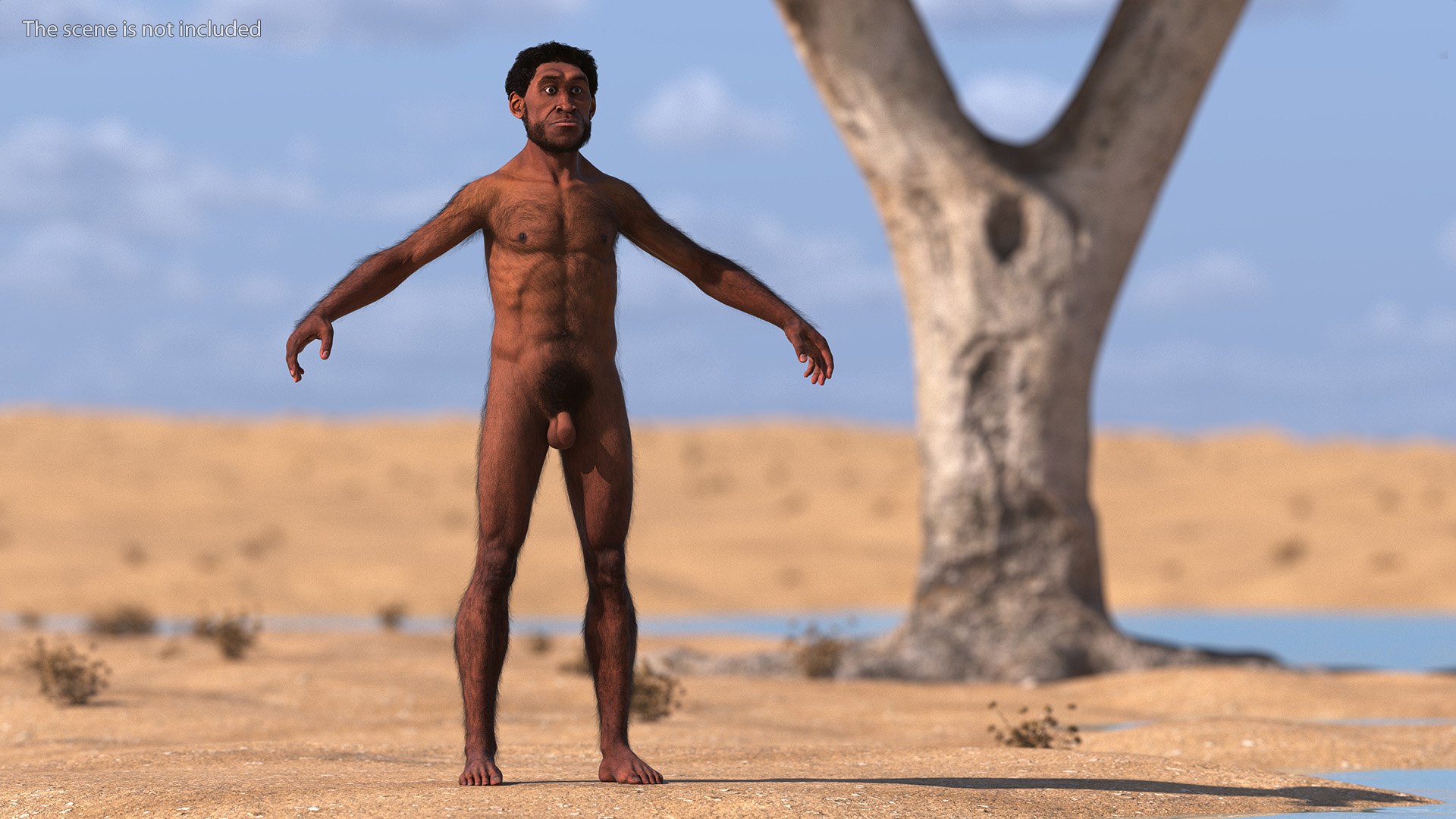 Homo Erectus Fur Rigged 3D model https://p.turbosquid.com/ts-thumb/Oy/ZWLXlr/ay/homoerectusfurrigged3dsmodel009/jpg/1706043156/1920x1080/fit_q87/dfde999ba3f8d53b2fca635f47156fd0e7151396/homoerectusfurrigged3dsmodel009.jpg