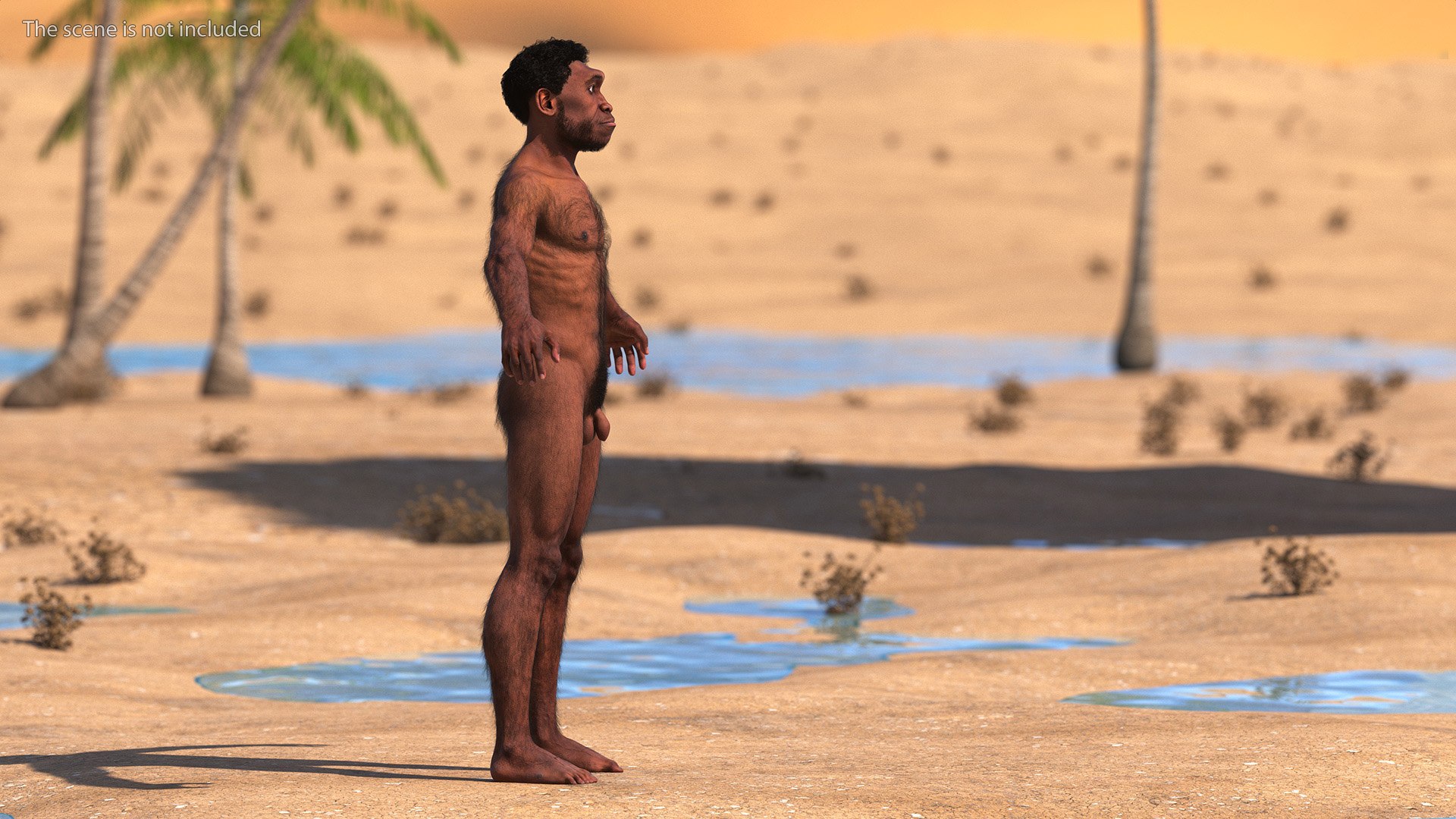Homo Erectus Fur Rigged 3D model https://p.turbosquid.com/ts-thumb/Oy/ZWLXlr/dj/homoerectusfurrigged3dsmodel010/jpg/1706043160/1920x1080/fit_q87/f97150f552fe6a2fecba68fce8d03a94d3fa4061/homoerectusfurrigged3dsmodel010.jpg