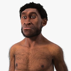 Homo Erectus Fur Rigged 3D model