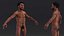 Homo Erectus armato di pelliccia
