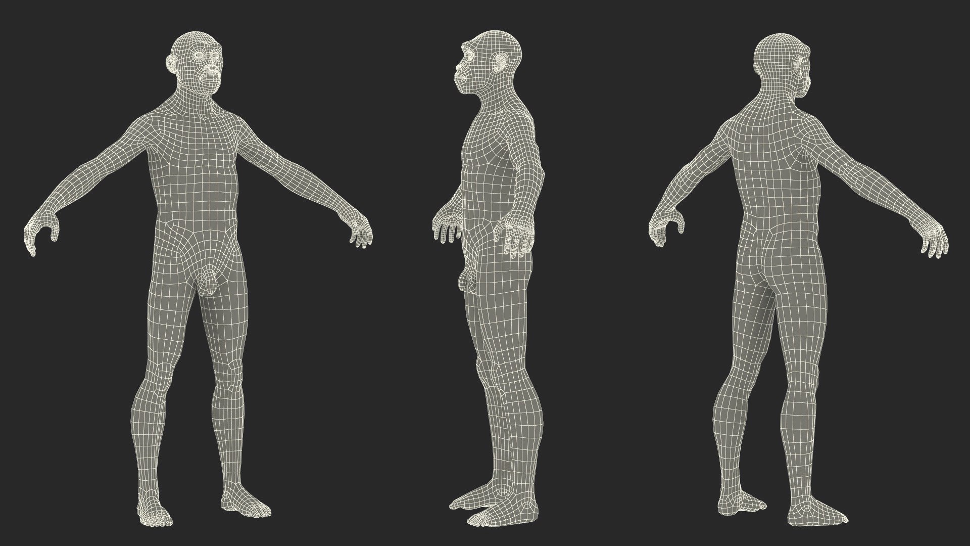 Homo Erectus Fur Rigged 3D model https://p.turbosquid.com/ts-thumb/Oy/ZWLXlr/mD/homoerectusfurrigged3dsmodel031/jpg/1706043260/1920x1080/fit_q87/a0fa6bb72bb22c37516be28f9428d4731ca182f0/homoerectusfurrigged3dsmodel031.jpg