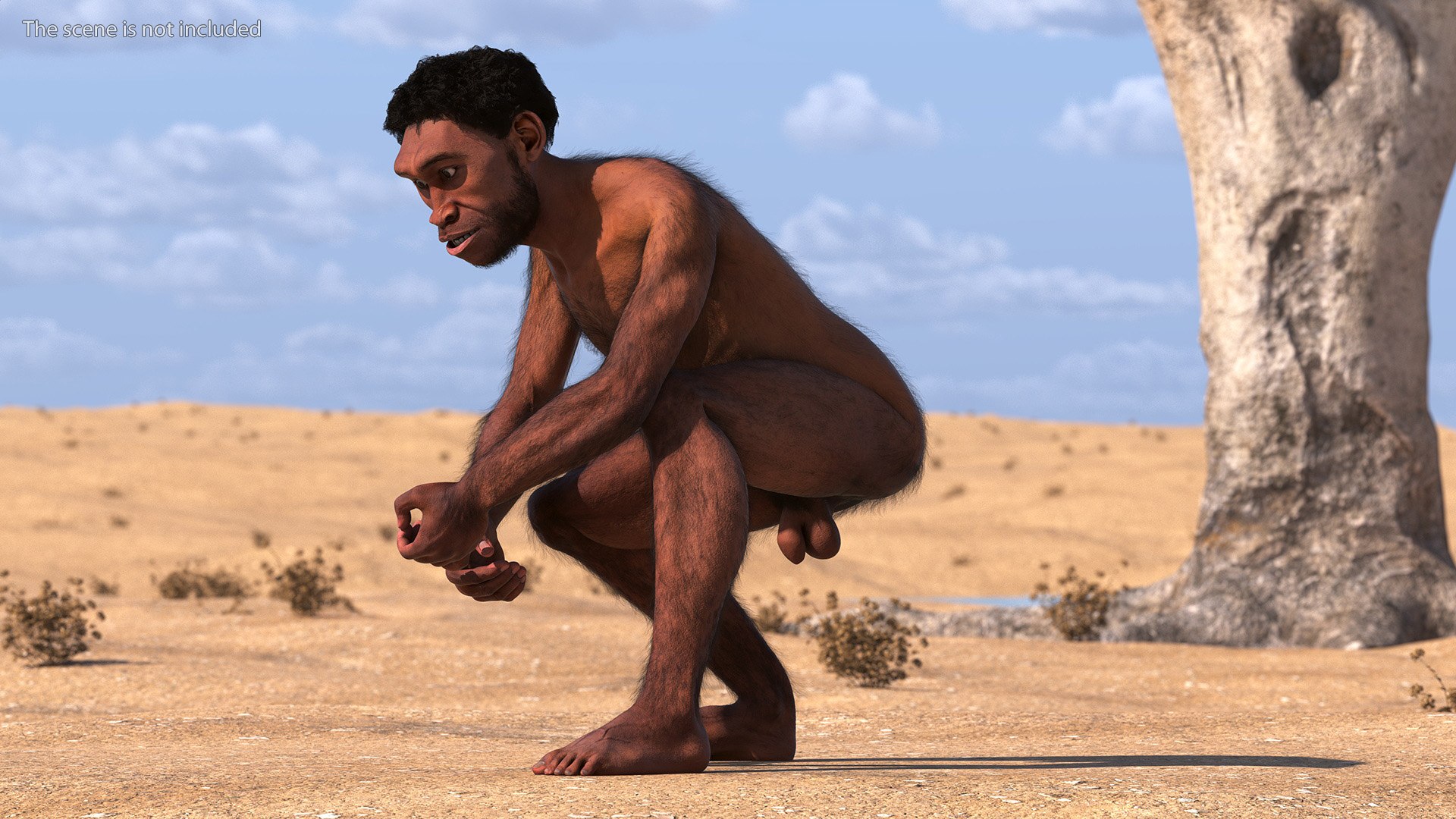 Homo Erectus Fur Rigged 3D model https://p.turbosquid.com/ts-thumb/Oy/ZWLXlr/vG/homoerectusfurrigged3dsmodel013/jpg/1706043176/1920x1080/fit_q87/4f32d248a08e7c8f6afecd9a8dea3ea29df60a43/homoerectusfurrigged3dsmodel013.jpg