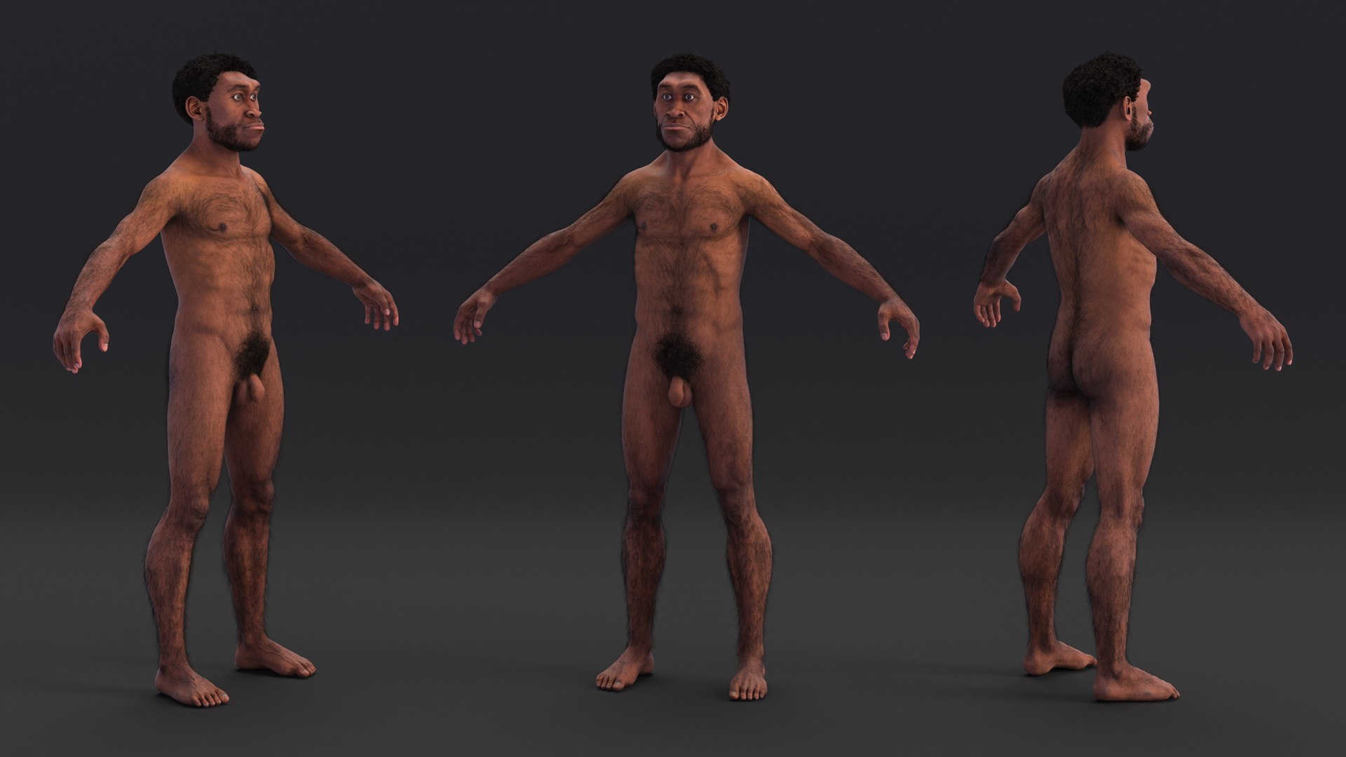 Homo Erectus Fur Rigged 3D model https://p.turbosquid.com/ts-thumb/Oy/ZWLXlr/wH/homoerectusfurrigged3dsmodel017/jpg/1706043195/1920x1080/fit_q87/1a6ffa0dd4142c9c56b28490b55406ccfc950e46/homoerectusfurrigged3dsmodel017.jpg