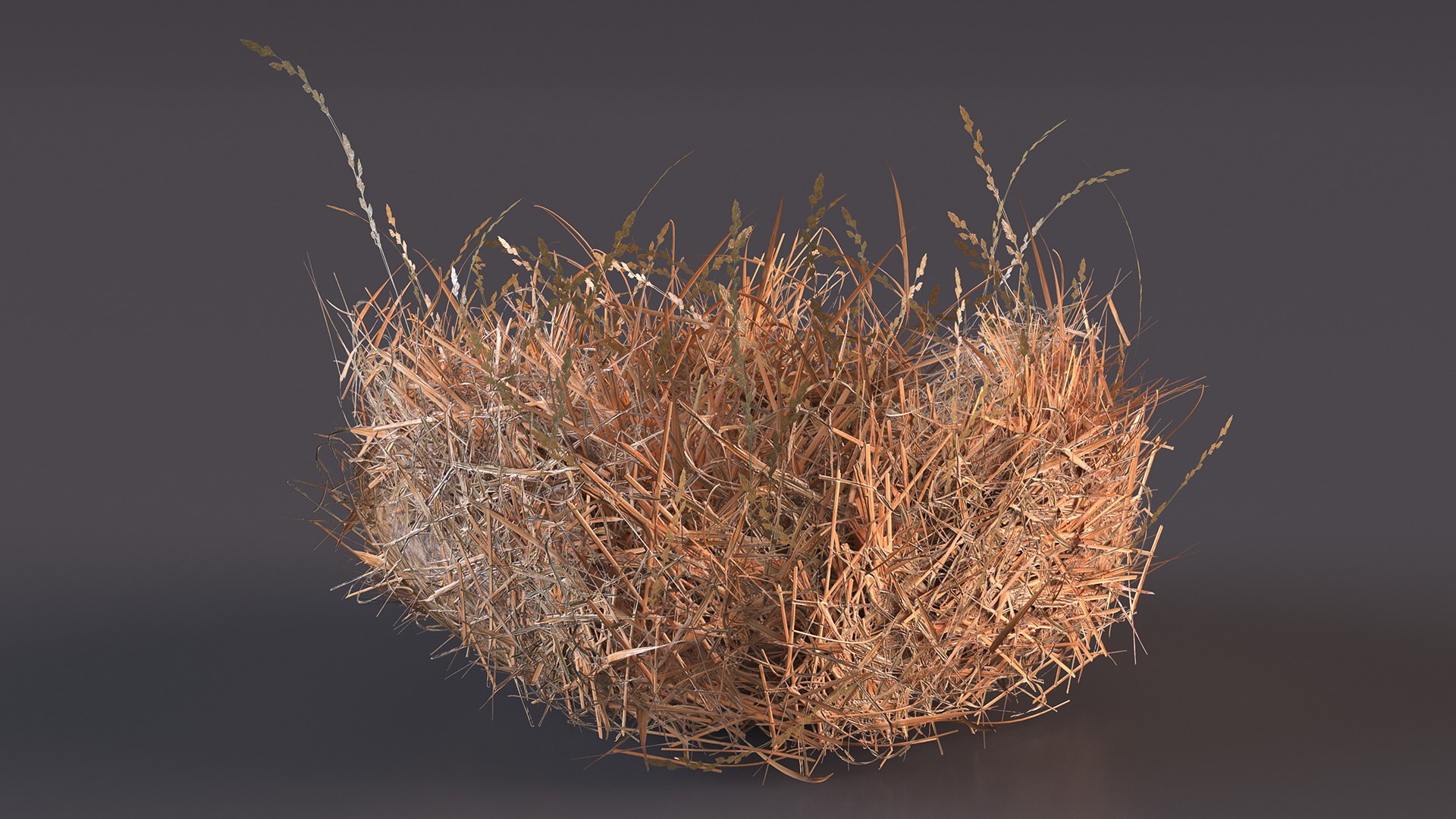 Bird Nests Collection 3D model https://p.turbosquid.com/ts-thumb/Oy/eQjz3D/Fh/birdnestscollectionc4dmodel020/jpg/1711445123/1920x1080/fit_q87/d9af27217c37f97ecaf29100821978c8ff919912/birdnestscollectionc4dmodel020.jpg