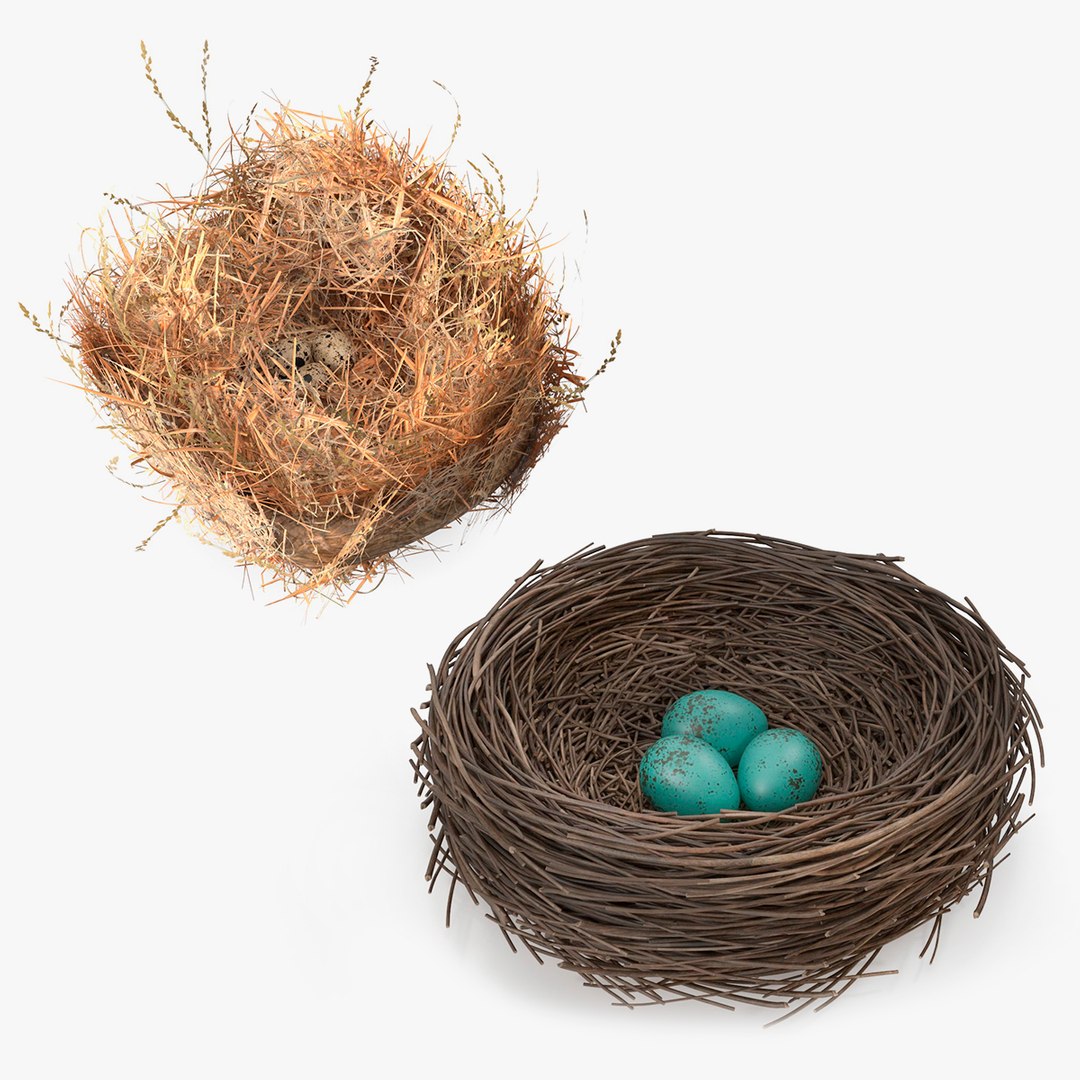 Bird Nests Collection 3D model preview