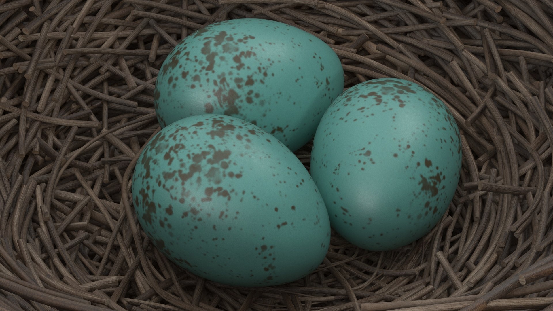 Bird Nests Collection 3D model https://p.turbosquid.com/ts-thumb/Oy/eQjz3D/w3/birdnestscollectionc4dmodel010/jpg/1711445072/1920x1080/fit_q87/cf854842faa0212eac716fa1efd7614067ff1058/birdnestscollectionc4dmodel010.jpg