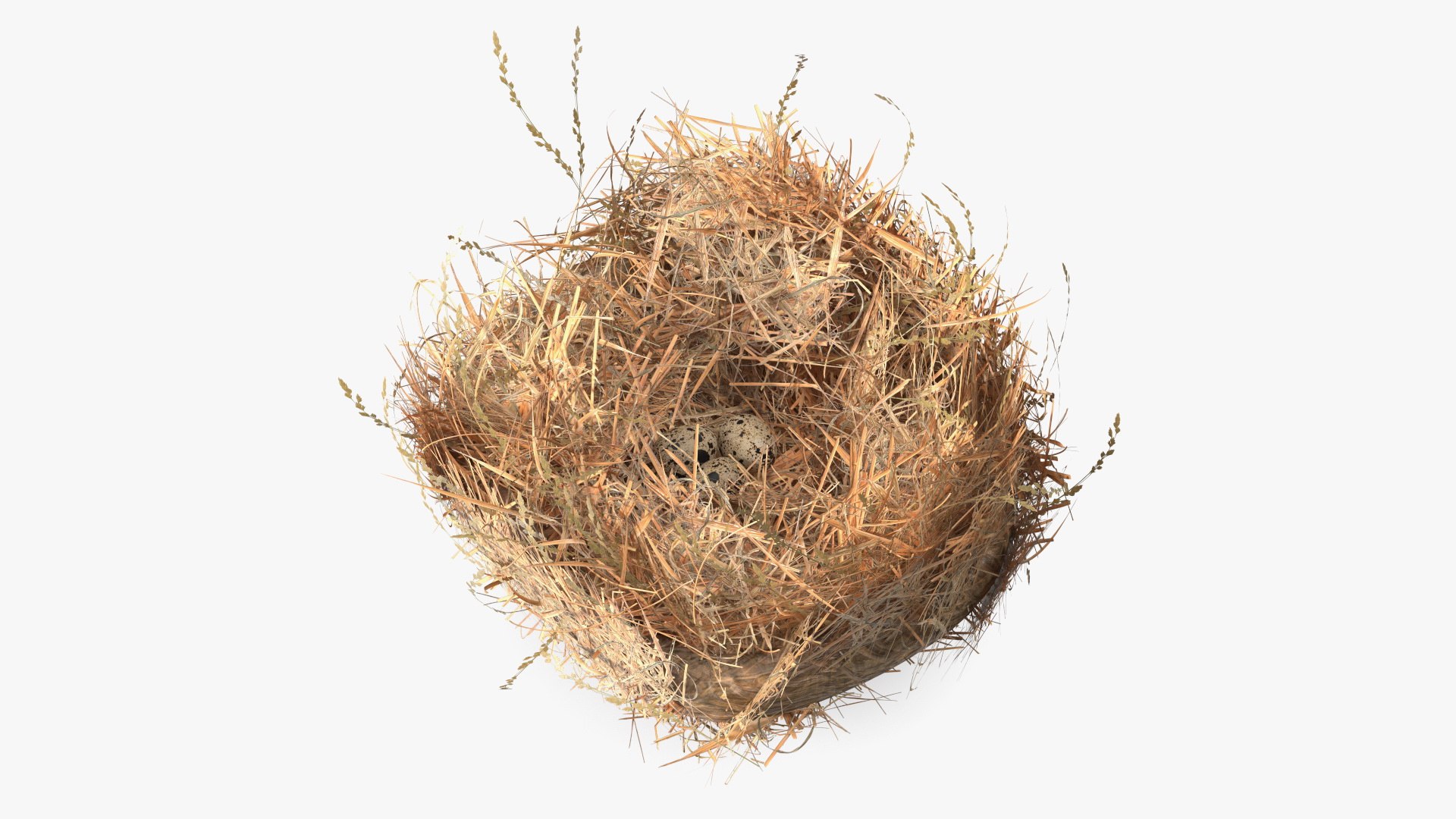 Bird Nests Collection 3D model https://p.turbosquid.com/ts-thumb/Oy/eQjz3D/yX/birdnestscollectionc4dmodel023/jpg/1711445138/1920x1080/fit_q87/764acfcbdb371795ef4bb7108dce9e889479f8f8/birdnestscollectionc4dmodel023.jpg