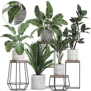 3D plant pots houseplants model