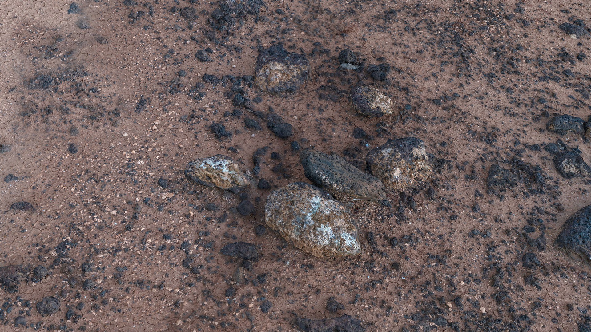 obj desert scanned 8k https://p.turbosquid.com/ts-thumb/Oy/rFUXyL/axrX4eL3/097/jpg/1429555300/1920x1080/fit_q87/b093667447489430e5da64f452529fc5423a231d/097.jpg