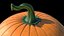 Halloween Pumpkin