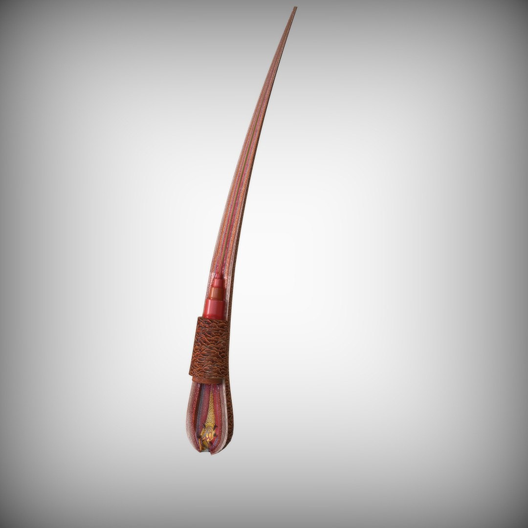 3D human hair model https://p.turbosquid.com/ts-thumb/Oz/7XYyd2/BPpSlTeJ/view3/jpg/1583698963/1920x1080/fit_q87/1dff7704a0d3b187f165365685a6b696c04bb3eb/view3.jpg