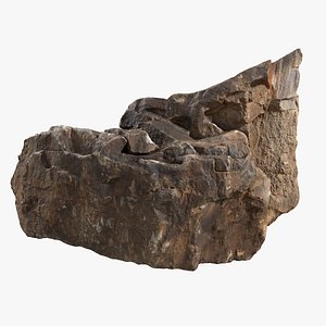 3D model Essential Scanned Rock 01