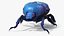 3D Bright Carapace Scarab Blue Fur