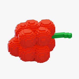 Voxel Red Grape