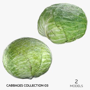 Cabbages Collection 03 - 2 models 3D model