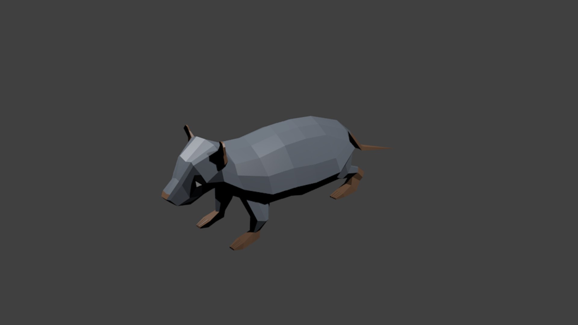 3d model of rat polys