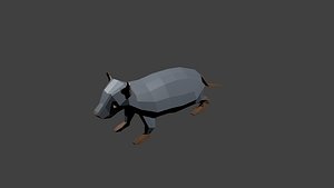 3d model of rat polys