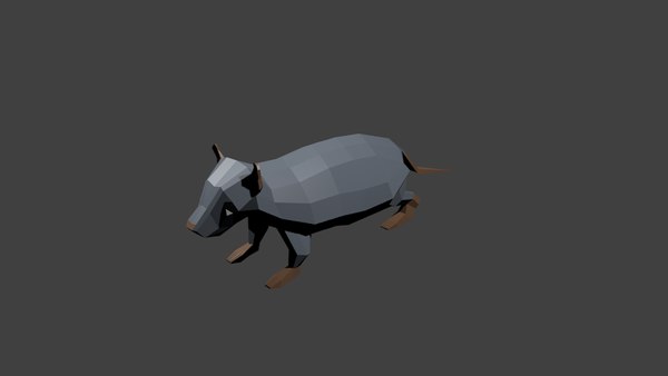3d model of rat polys
