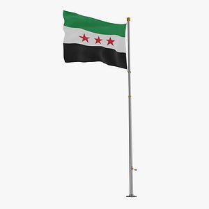 Pole Flag Syria - new flag