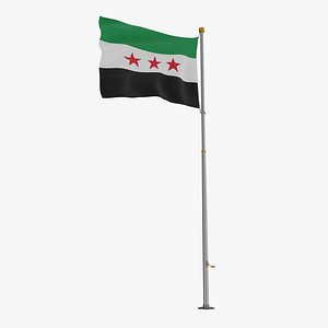 Pole Flag Syria - new flag