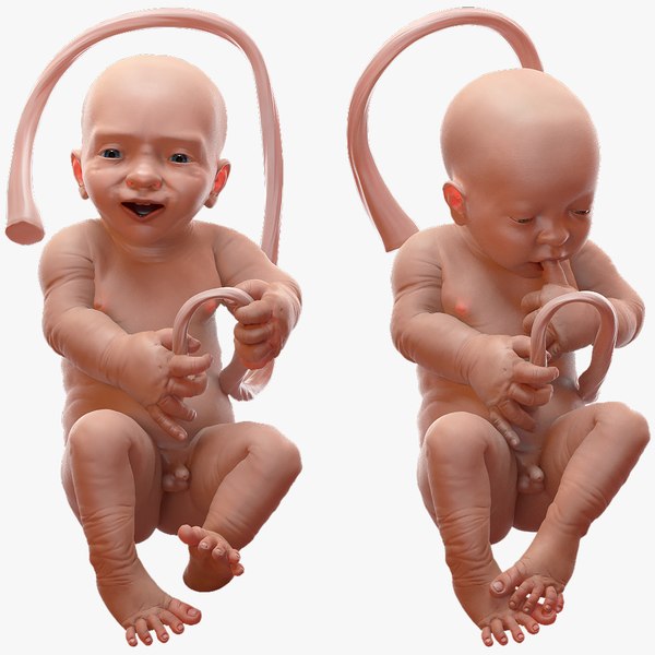 Baby boy top in womb
