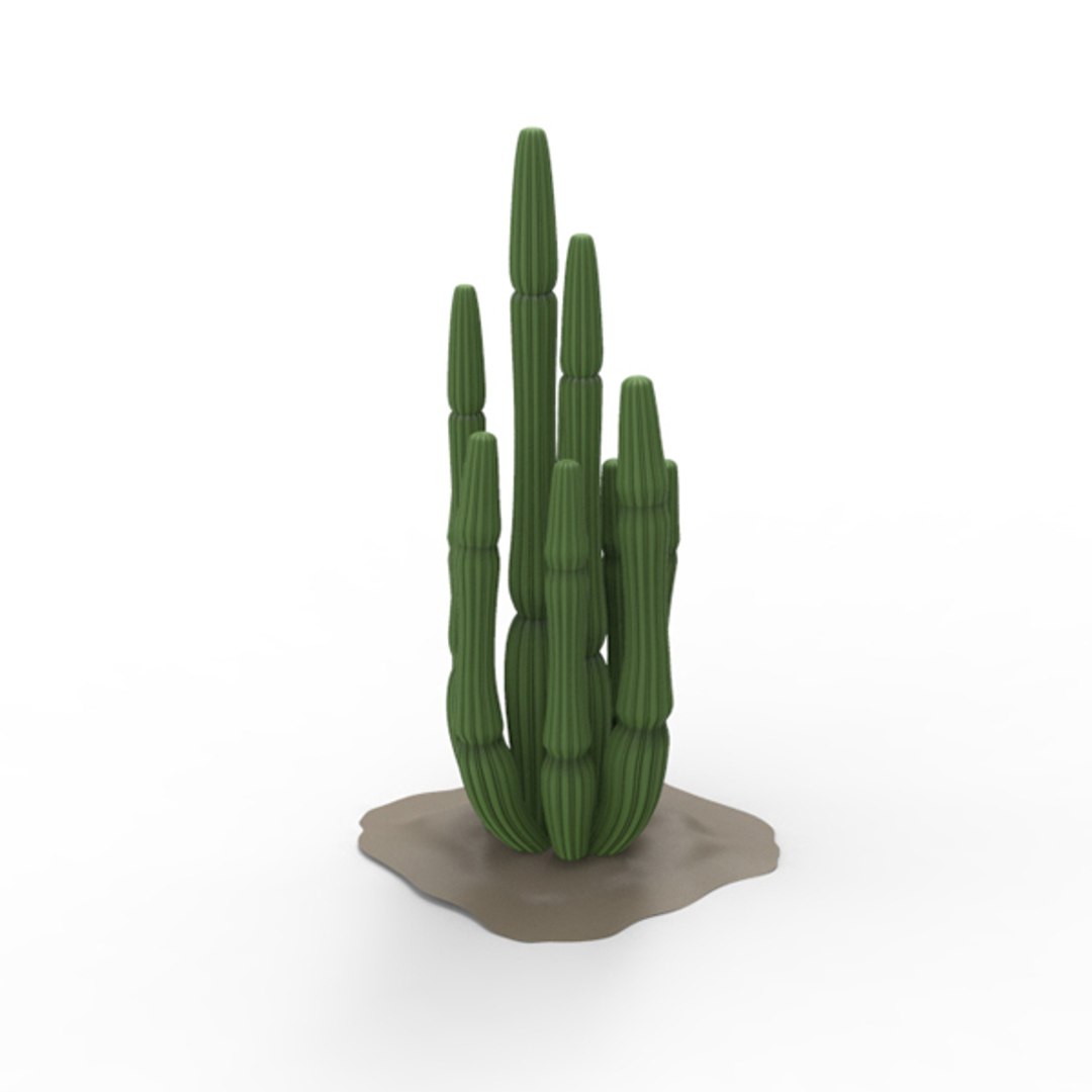 Cactus 3d Model