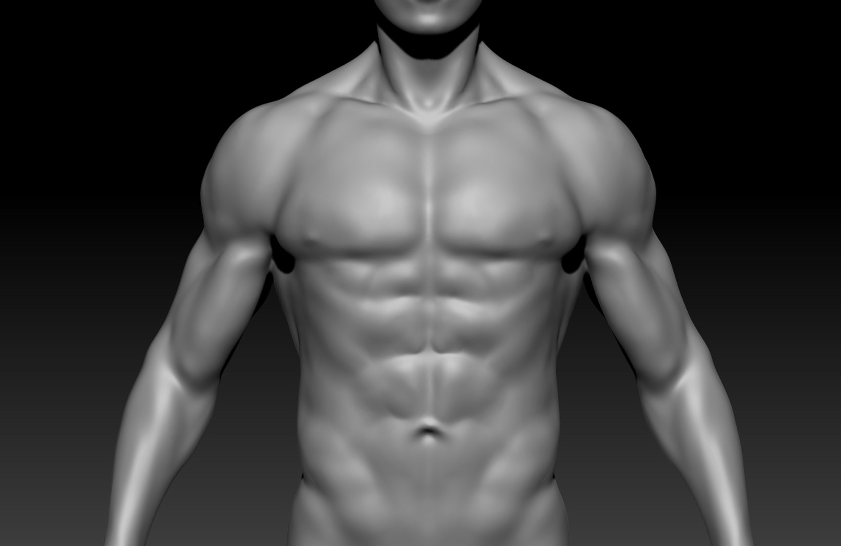 Male Human Topology 3D Model - TurboSquid 1386409