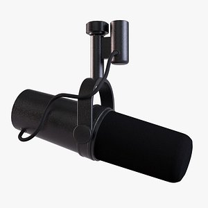 microphone