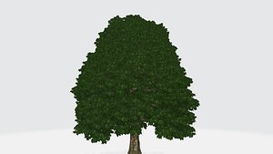 Big tree 3D model