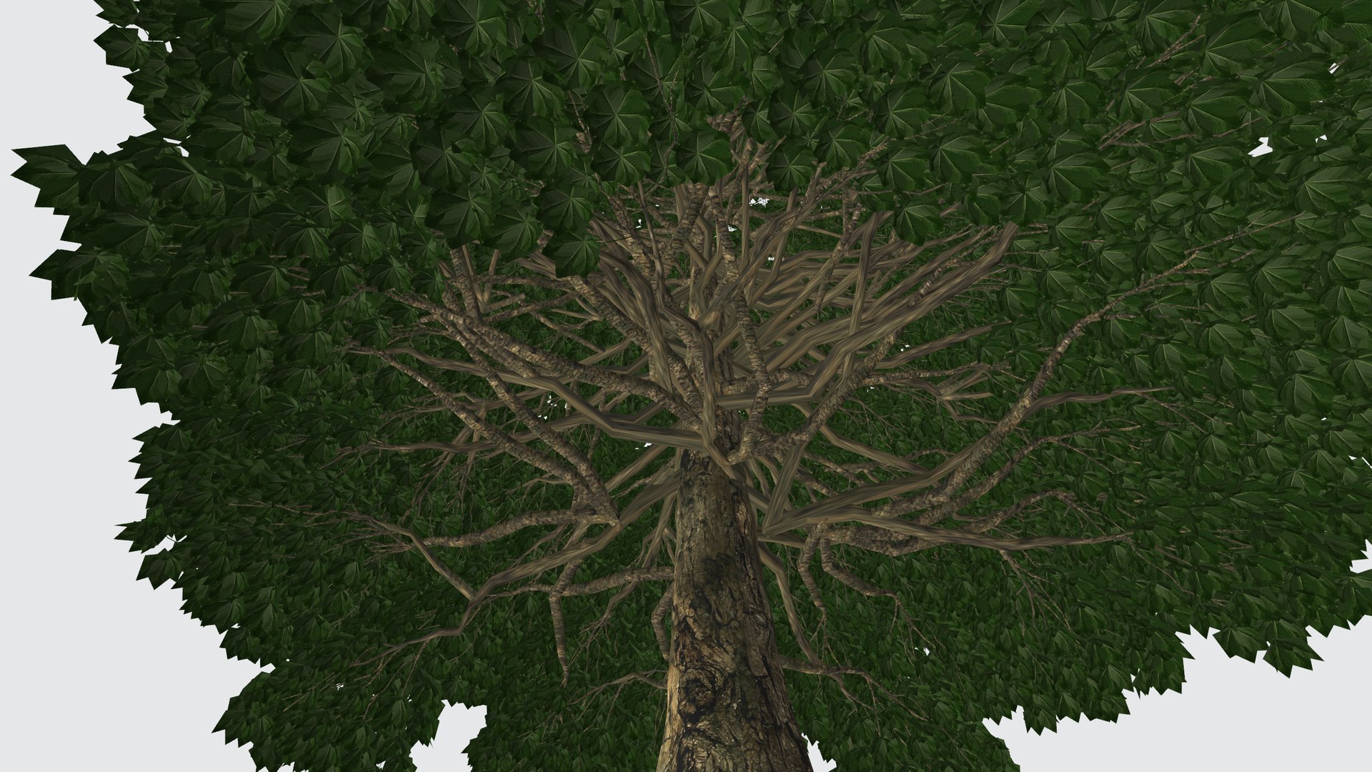 Big Tree 3d Model Turbosquid 1956164 