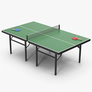 Ping Pong Table Set
