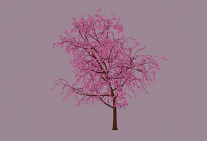 Blossom Tree 3D model