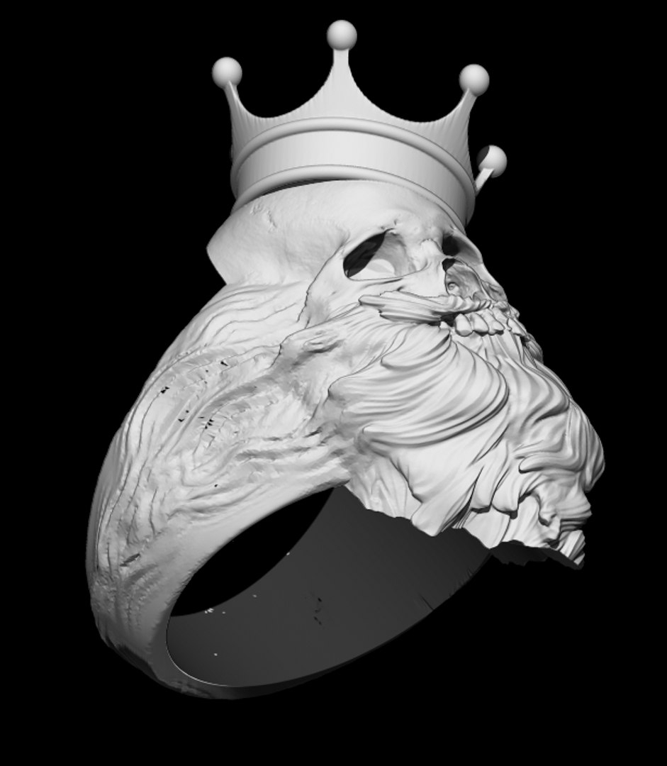 beard king net worth 2022 - Ilustrasi 3