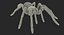 Goliath Birdeater with Fur Rigged