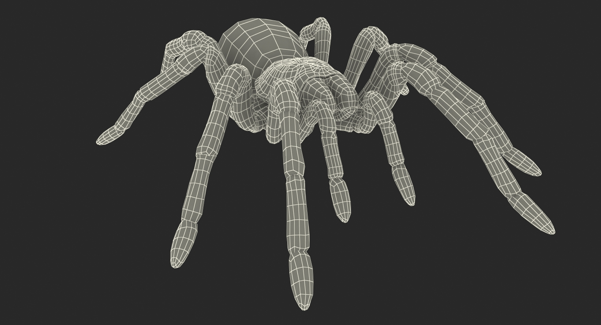 goliath birdeater fur rigged 3D model https://p.turbosquid.com/ts-thumb/Oz/vv0xsy/KDDshPnn/goliath_birdeater_with_fur_rigged_363/jpg/1519587507/1920x1080/turn_fit_q99/31916d168ae56686efead10ea89383bbcc7fa4b0/goliath_birdeater_with_fur_rigged_363-1.jpg
