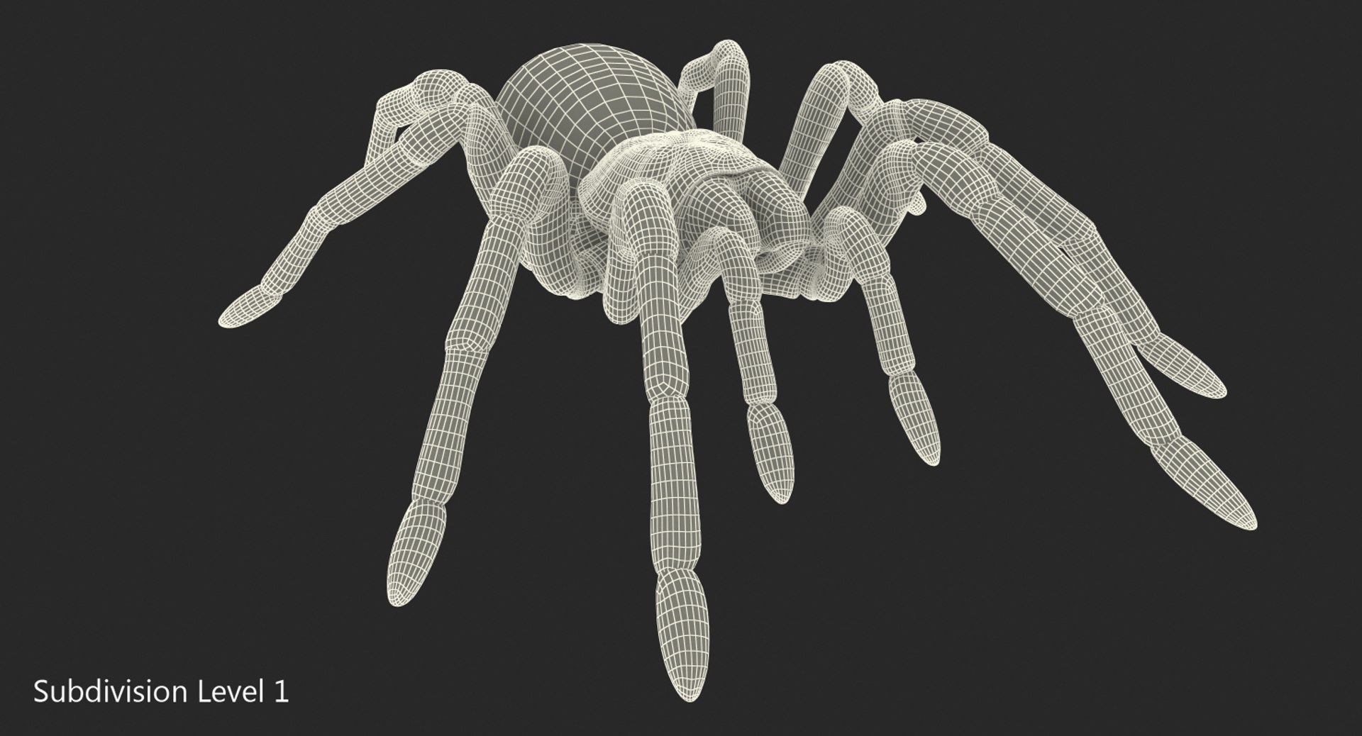 goliath birdeater fur rigged 3D model https://p.turbosquid.com/ts-thumb/Oz/vv0xsy/TIfq5nLc/goliathbirdeaterwithfurriggedvray3dmodel022/jpg/1519588074/1920x1080/fit_q87/8a6075a8852a3657dab1976c9a8ffbc3a6243368/goliathbirdeaterwithfurriggedvray3dmodel022.jpg