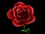 Detailed Red Rose
