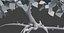 Albero vecchio