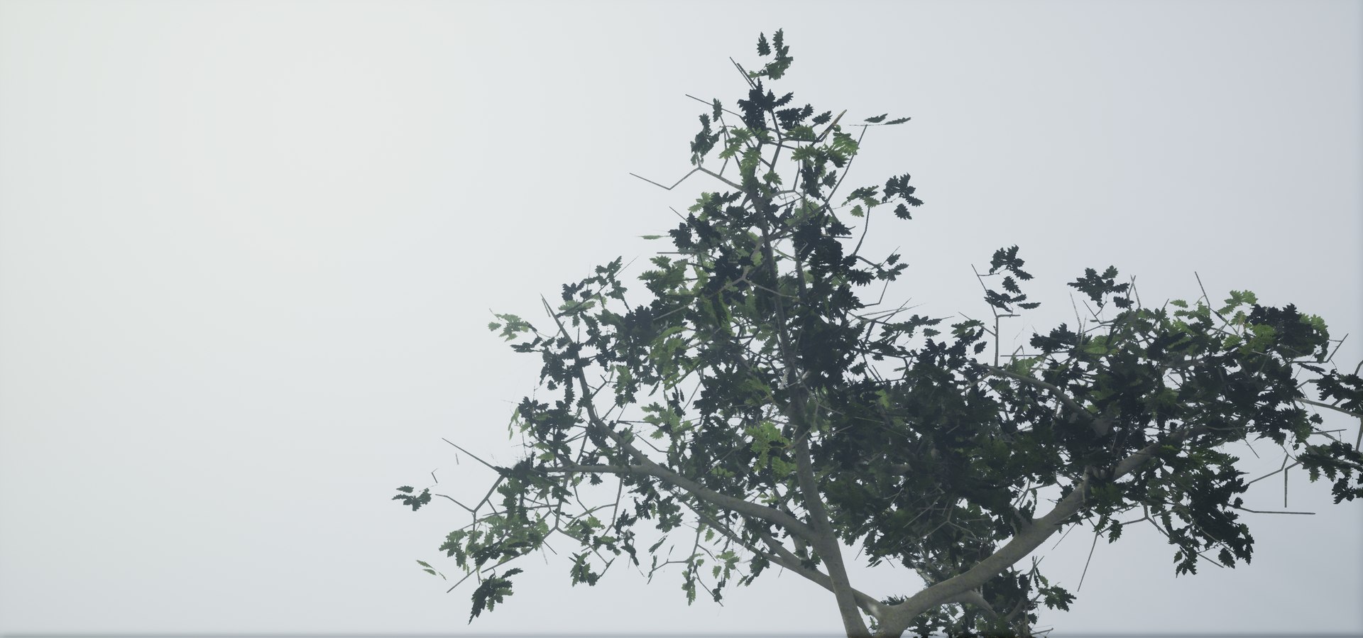 polys leaves trunk 3ds https://p.turbosquid.com/ts-thumb/P0/31i99n/3rb9KtWI/highresscreenshot00055/png/1518358754/1920x1080/fit_q87/766add8f8b76e4807109b9135ae671ee833bd6fe/highresscreenshot00055.jpg