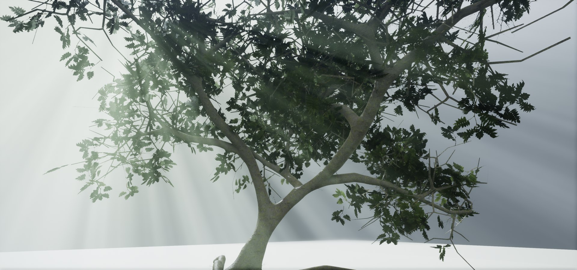 polys leaves trunk 3ds https://p.turbosquid.com/ts-thumb/P0/31i99n/51lI3PsD/highresscreenshot00049/png/1518358754/1920x1080/fit_q87/0b85ea801094f43b0a81f9345f73fd5bed0fb797/highresscreenshot00049.jpg