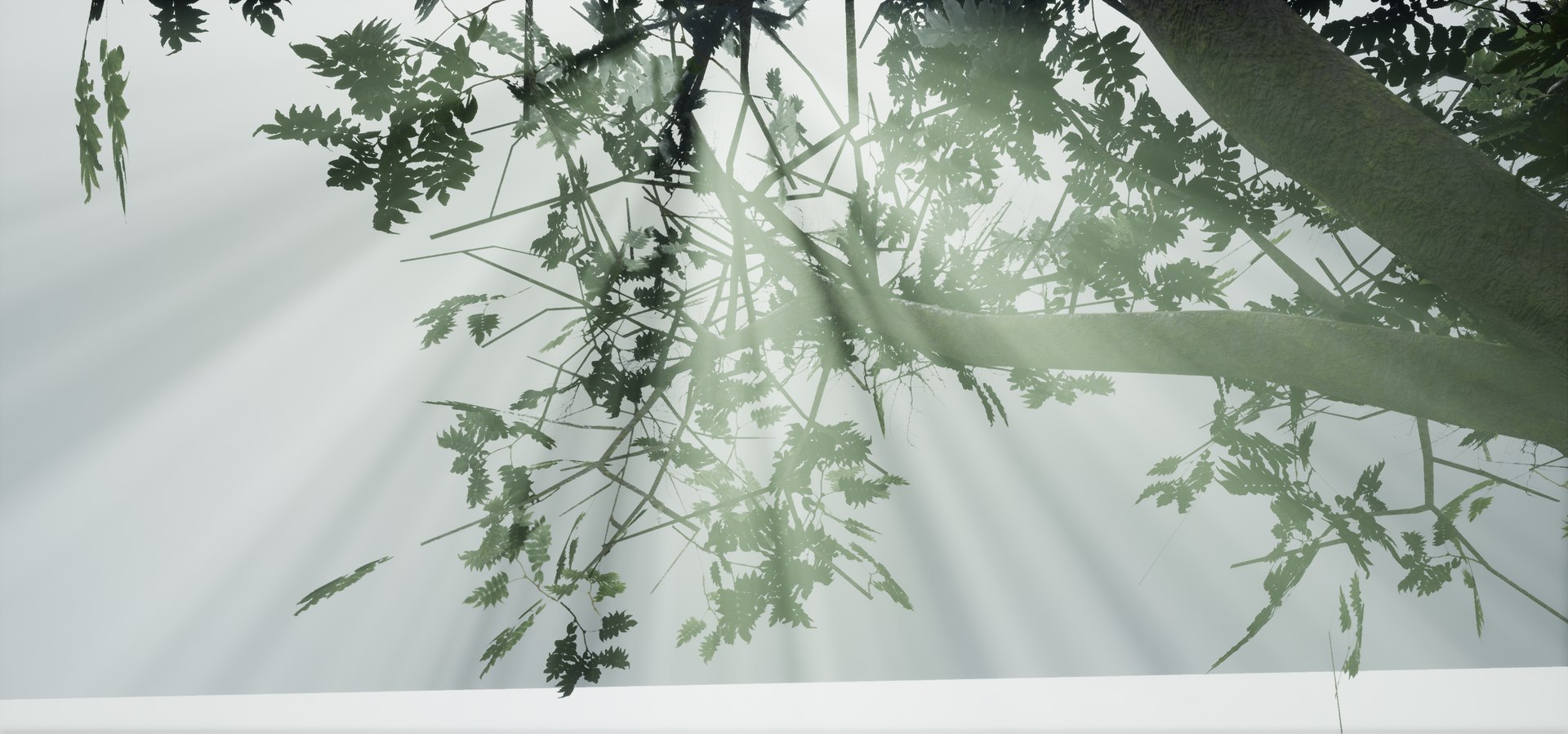 polys leaves trunk 3ds https://p.turbosquid.com/ts-thumb/P0/31i99n/8bpp8TBJ/highresscreenshot00045/png/1518358754/1920x1080/fit_q87/9e06474490deeaa5c4cd7018e87aacb82ebf7f29/highresscreenshot00045.jpg