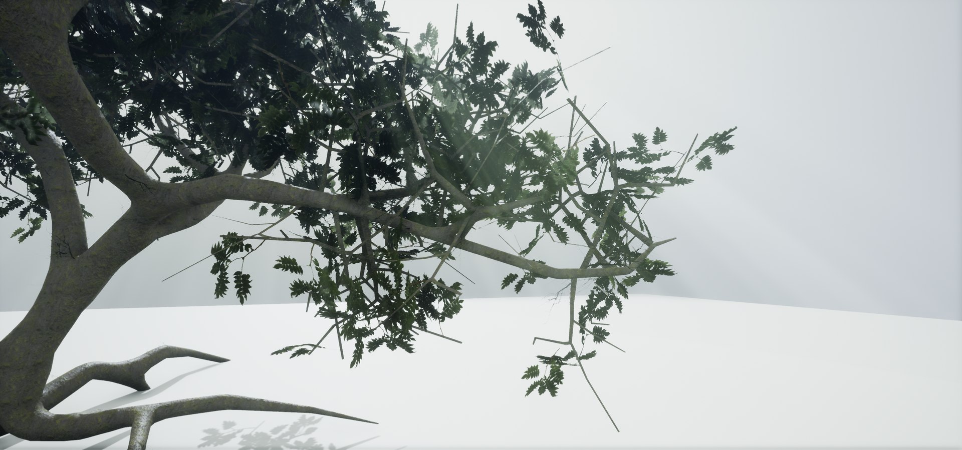 polys leaves trunk 3ds https://p.turbosquid.com/ts-thumb/P0/31i99n/DX391bvj/highresscreenshot00044/png/1518358754/1920x1080/fit_q87/c7b4c4ba1a72ba56982b489451ab1ce0cccbaca9/highresscreenshot00044.jpg