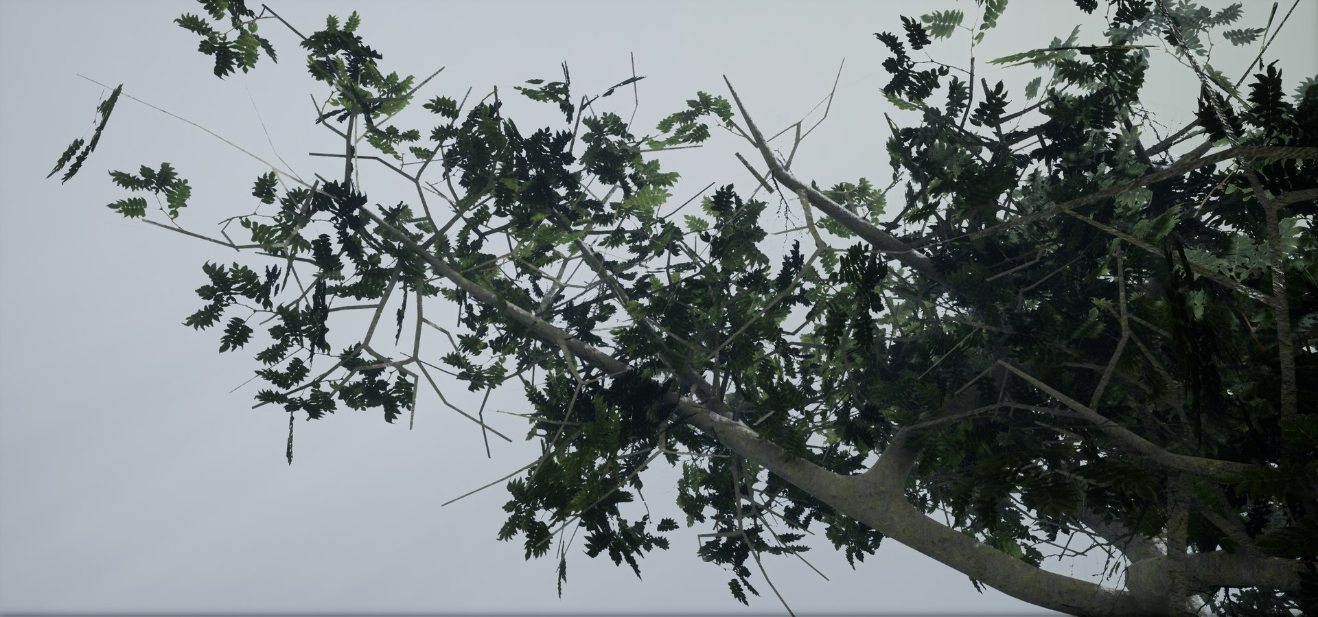 polys leaves trunk 3ds https://p.turbosquid.com/ts-thumb/P0/31i99n/HDvM3fTJ/highresscreenshot00056/png/1518358754/1920x1080/fit_q87/b9355b18549ea74dff1490f76bbc9894011a050e/highresscreenshot00056.jpg