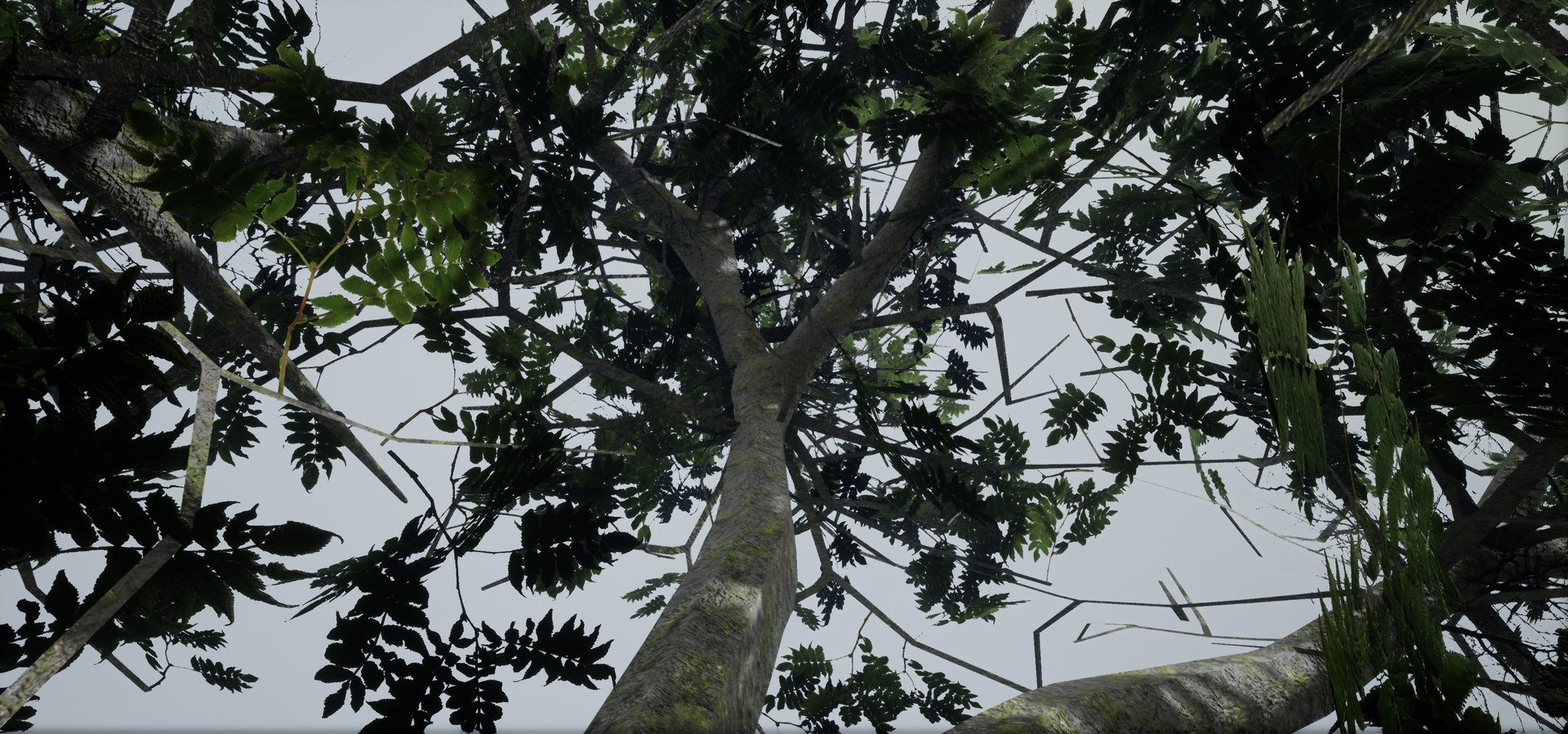polys leaves trunk 3ds https://p.turbosquid.com/ts-thumb/P0/31i99n/ISrKxz4q/highresscreenshot00052/png/1518358754/1920x1080/fit_q87/baa09ba8aadf1c7b380bcc9430bf8b67001b0293/highresscreenshot00052.jpg