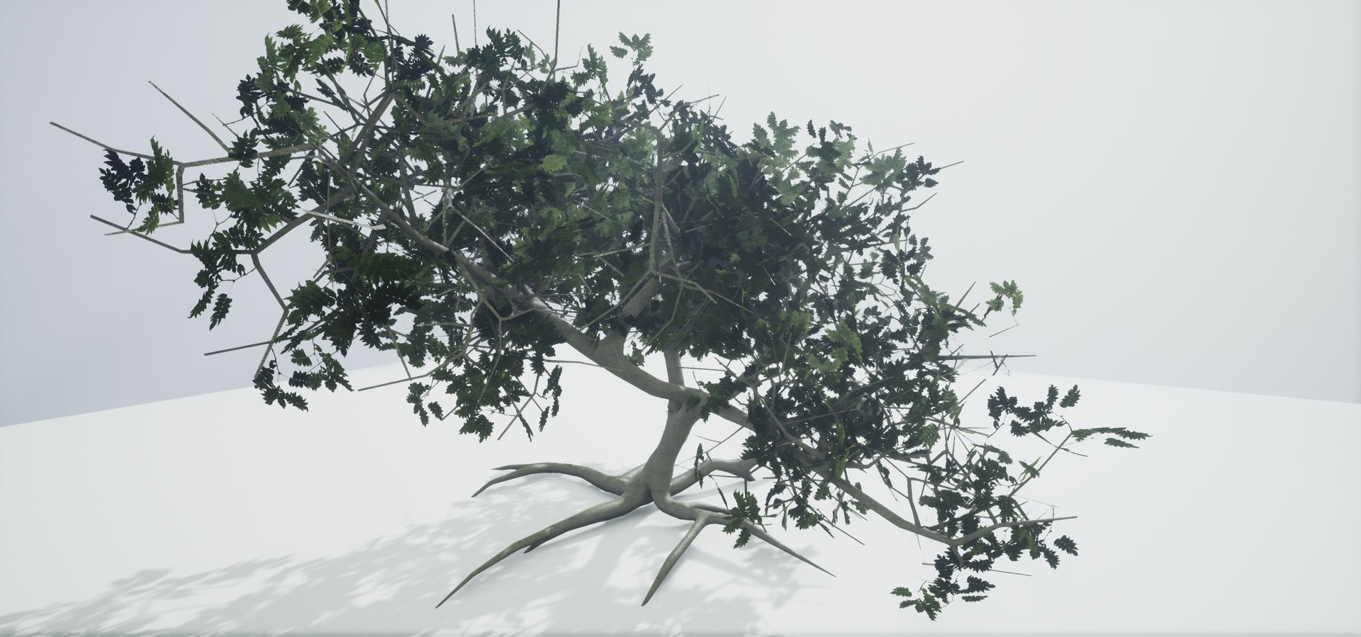 polys leaves trunk 3ds https://p.turbosquid.com/ts-thumb/P0/31i99n/YZMvAW9K/highresscreenshot00054/png/1518358754/1920x1080/fit_q87/d7adc6351b760b4f5a9e13ea655d37c92699d6c6/highresscreenshot00054.jpg