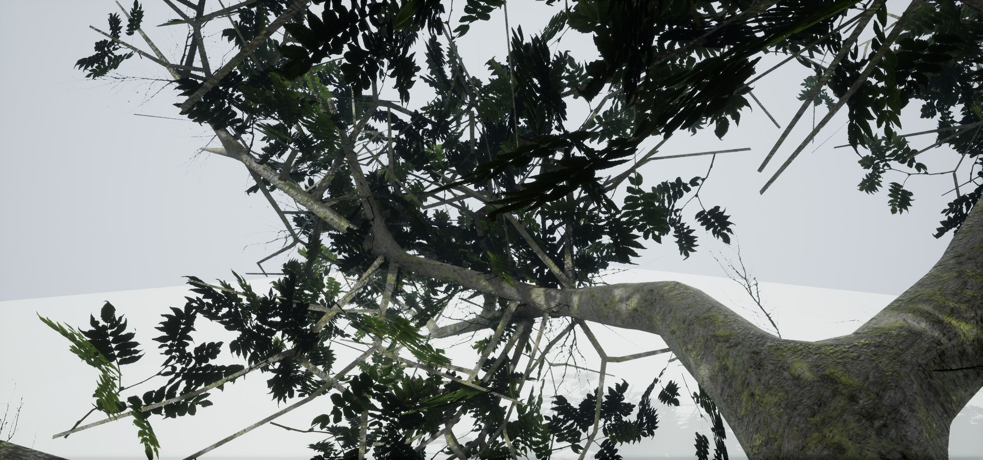polys leaves trunk 3ds https://p.turbosquid.com/ts-thumb/P0/31i99n/j2E1k76S/highresscreenshot00050/png/1518358754/1920x1080/fit_q87/ee4dce39009435e81f0d49cc1e351f7d8b0aafbf/highresscreenshot00050.jpg