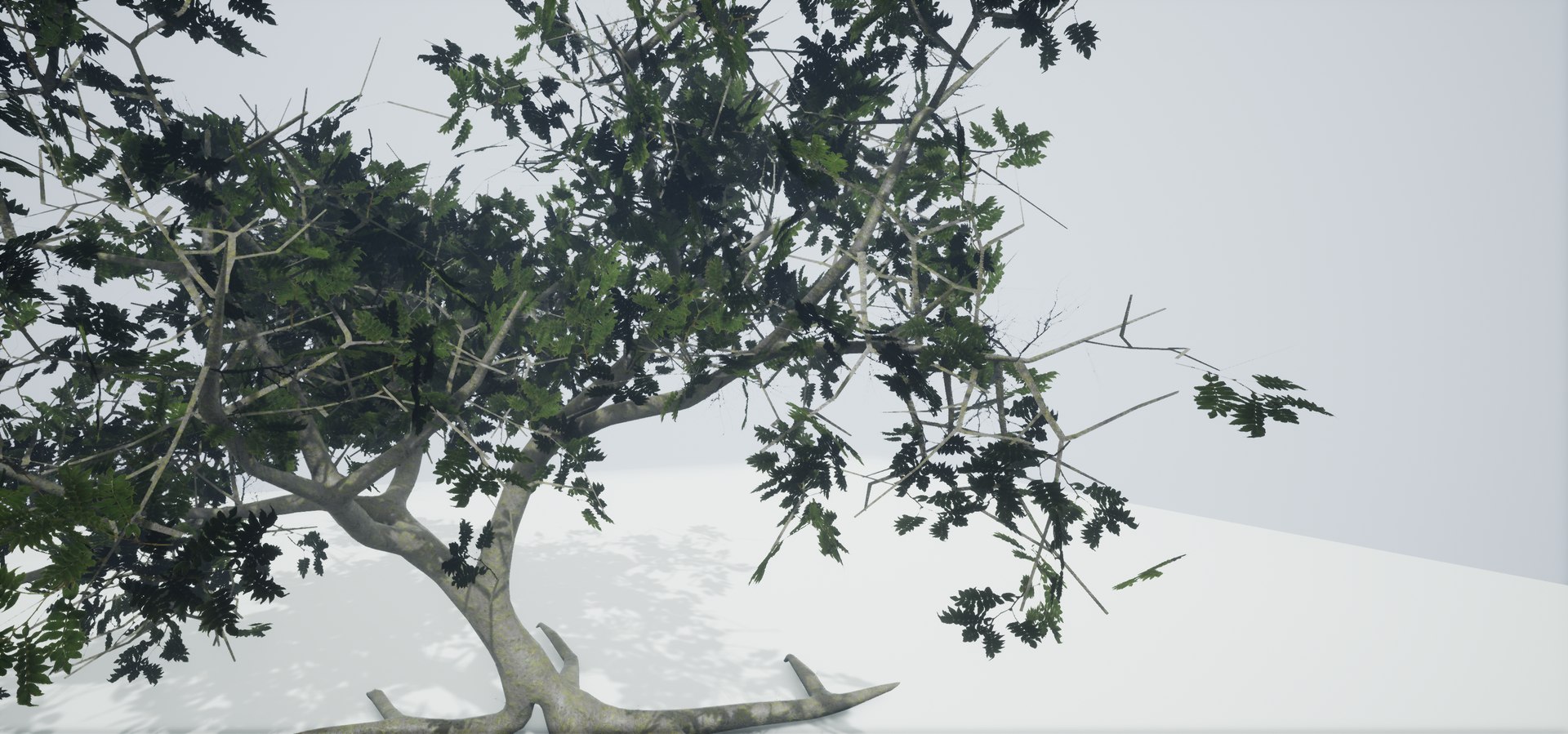 polys leaves trunk 3ds https://p.turbosquid.com/ts-thumb/P0/31i99n/pR9EENJi/highresscreenshot00053/png/1518358754/1920x1080/fit_q87/f206b25274a581f5086f2edd115935a1469cf0ea/highresscreenshot00053.jpg