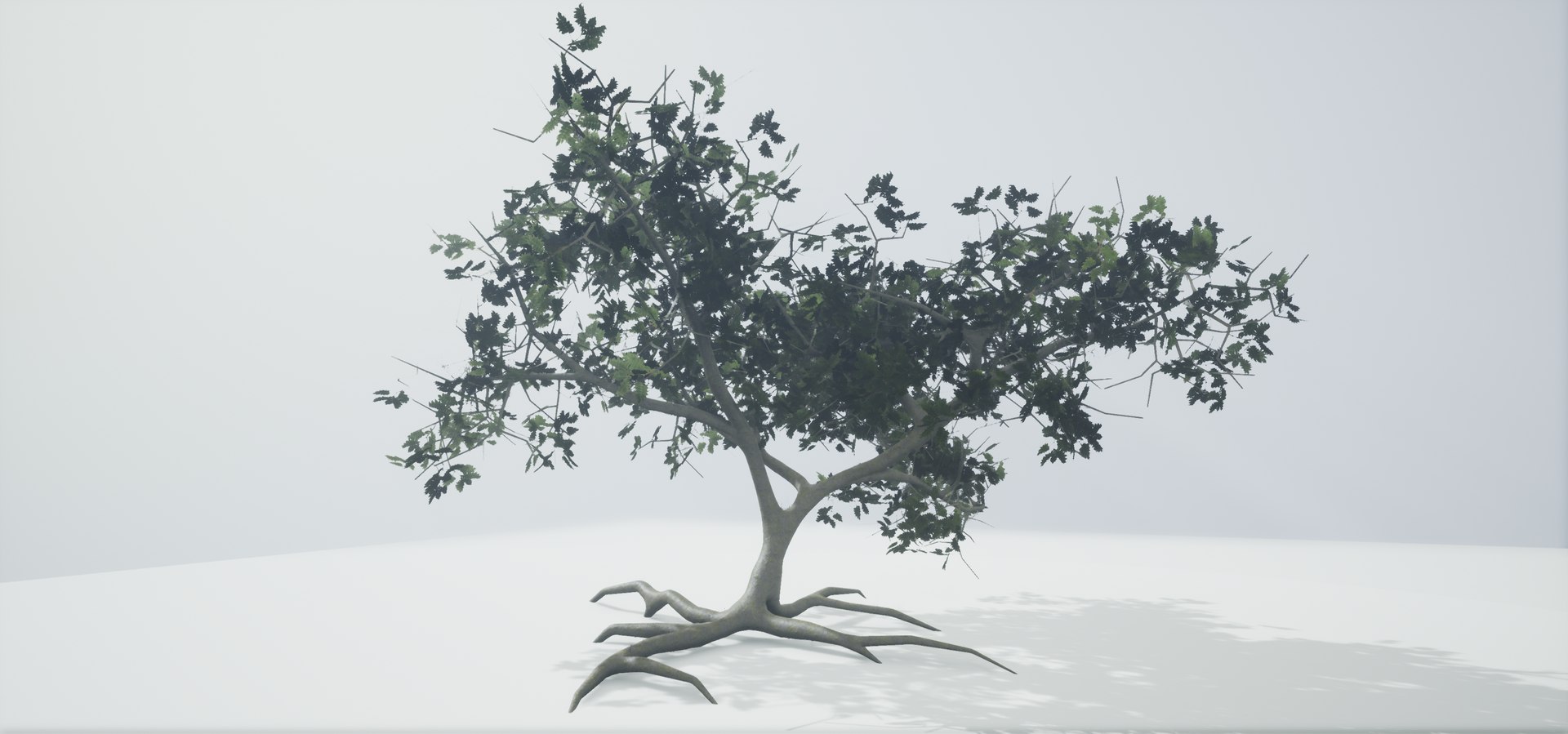 polys leaves trunk 3ds https://p.turbosquid.com/ts-thumb/P0/31i99n/tvNVgLW1/highresscreenshot00039/png/1518357773/1920x1080/fit_q87/53da35bfddf71026c6ec40e3e487717f588a3b9f/highresscreenshot00039.jpg